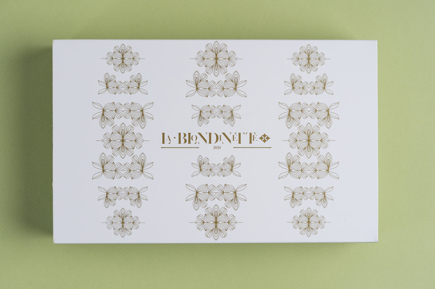 Galletas Delicias 15 unidades